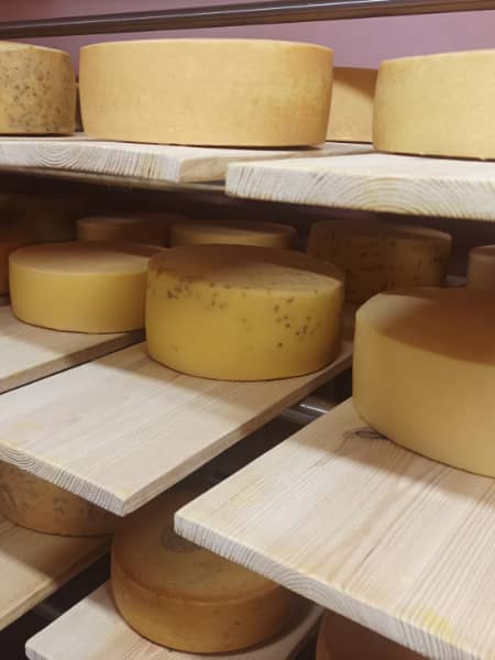 Spremberger Hofkäserei - Käseproduktion